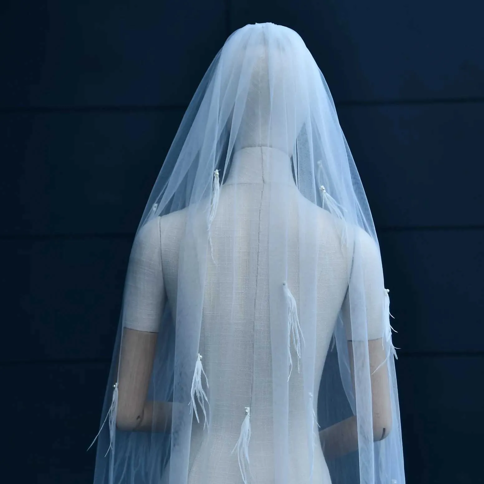 Brautschleier Mit Perlen Und Federn Aus Tüll Für Die Hochzeit_voghion.com
