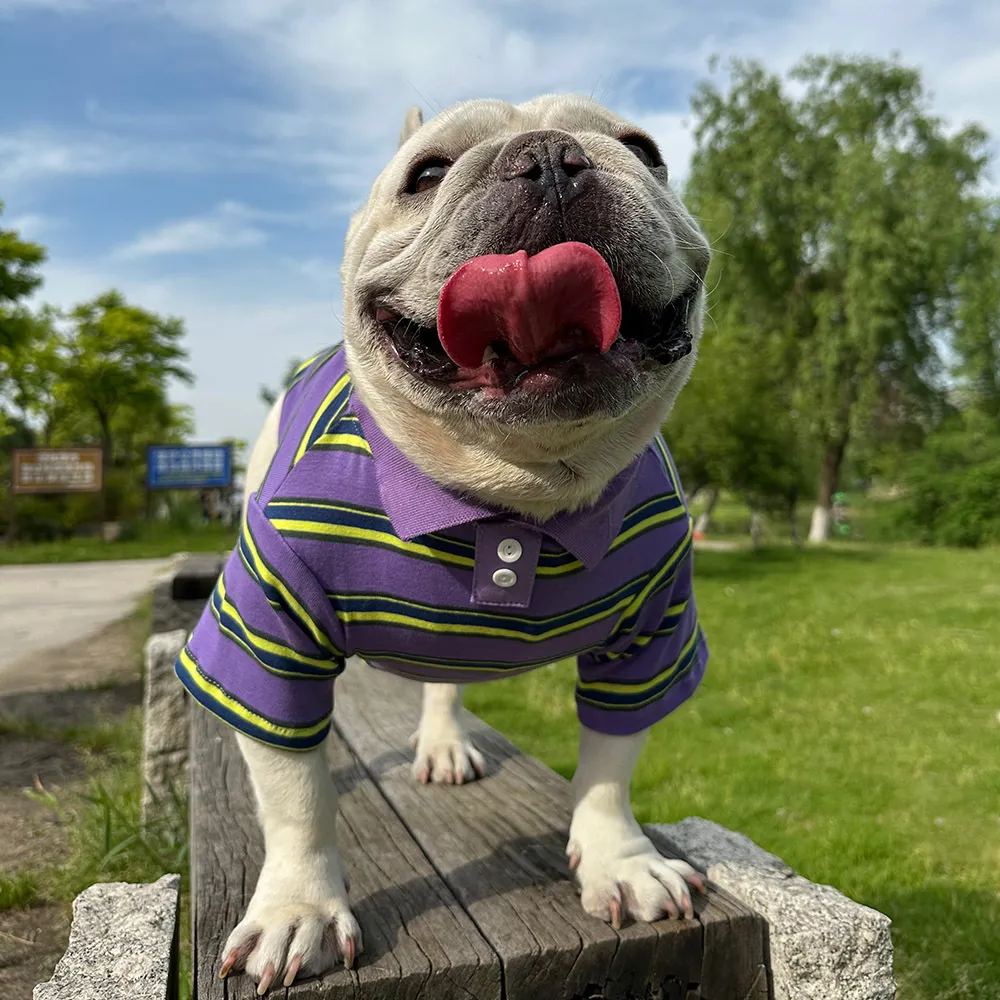 Lüks tasarımcı evcil hayvan kıyafetleri köpek gömlek modaya uygun küçük köpek