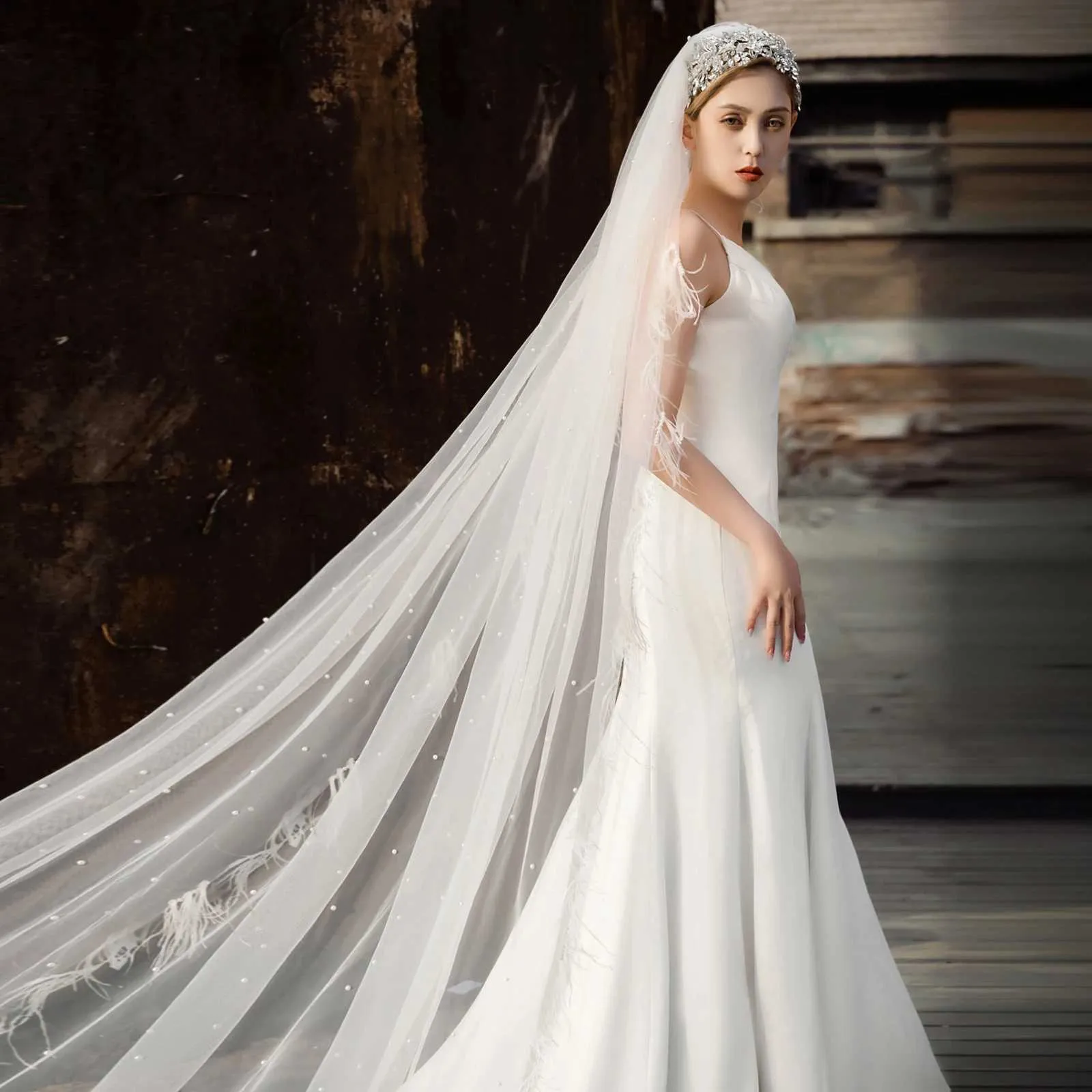 Bridal Veil Cathedral 1 Tier With Feather Beading For Wedding_voghion.com