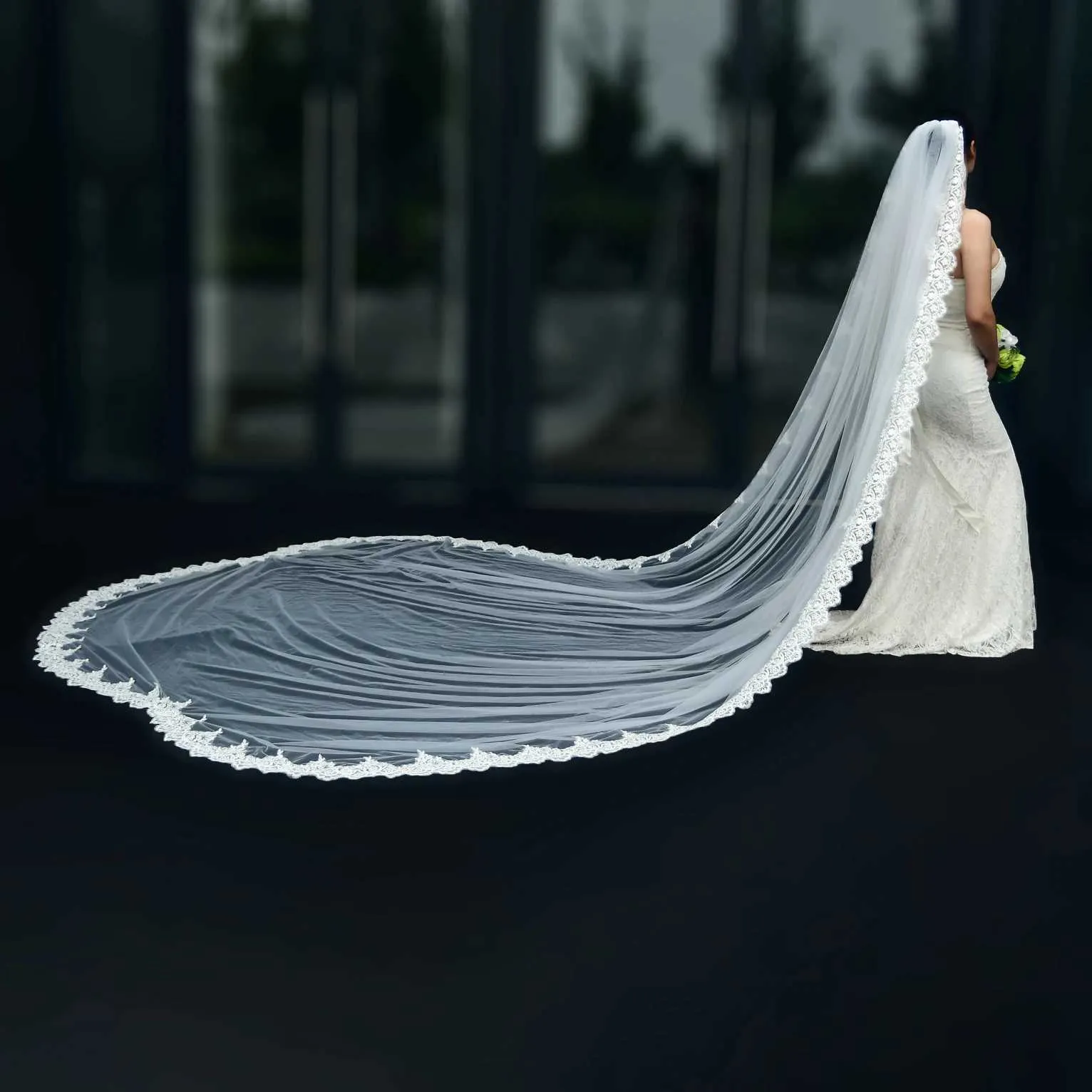 Hair Jewelry V152 Wide Veil Long Cathedral Bridal Veils 1 Tier 3M Lace Appliques Scalloped Edge Mantilla Tulle Wedding_voghion.com