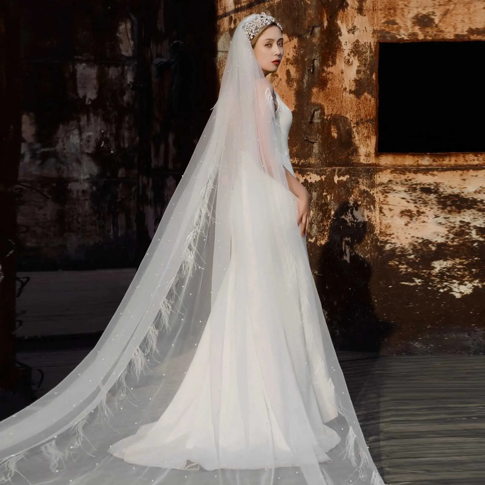 Bridal Veil Cathedral 1 Tier With Feather Beading For Wedding_voghion.com