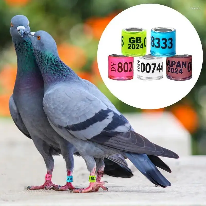 Inne dostawy ptaków 50pcs 2024 8 mm gołębi gołębi pierścień aluminiowy materiał z tworzywa sztucznego z liczbami wielokolorowymi opcjonalnym okrągiem identyfikacji