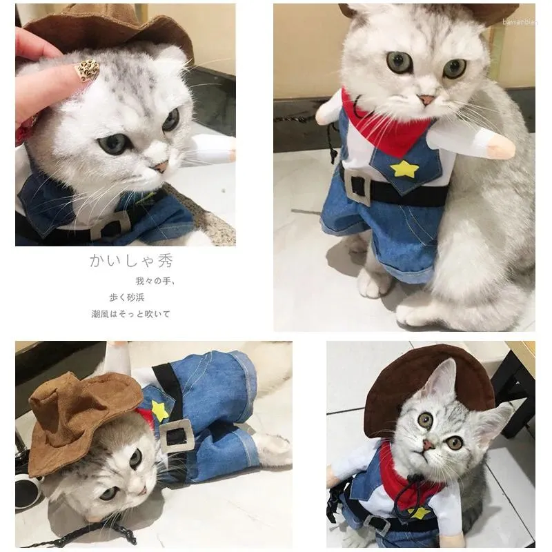 Abbigliamento per cani abiti da pet vestiti per gatti jeans occidentali orsacchiotto autunno tiktok winter kitten ying corto divertente