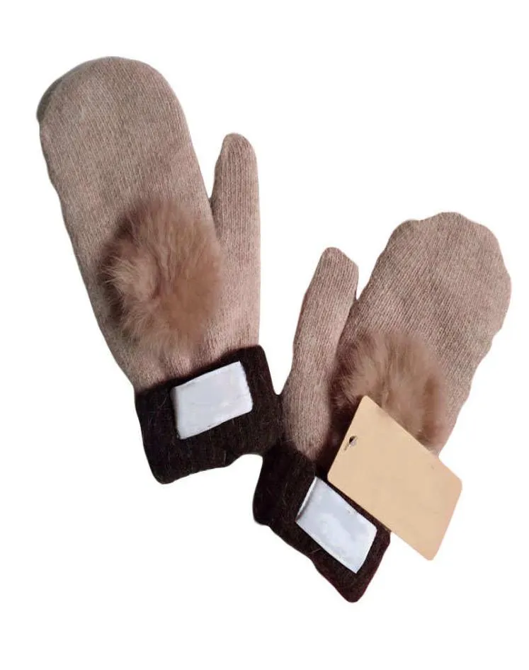Целая зима New Women039s Canvas Cashmere Luxury Gloves Осень теплые плюшевые G Ветровые дизайнер Fivefinger Fashion Mittens3176190
