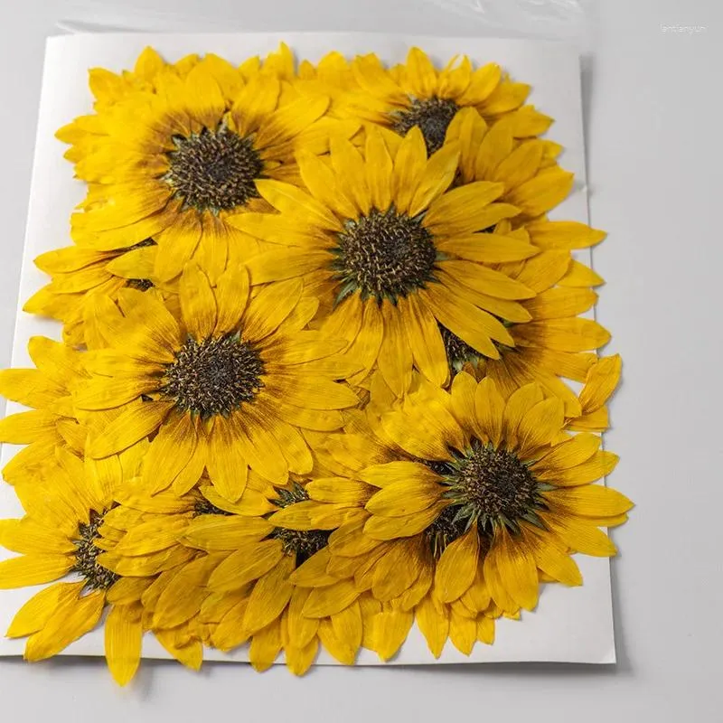 Kwiaty dekoracyjne Unikalne słoneczniki chwalebne prasowane próbki rośliny kwiat dla DIY Expososed Telefon Case 10pcs