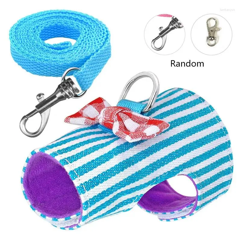 Small animal harness leash on sale