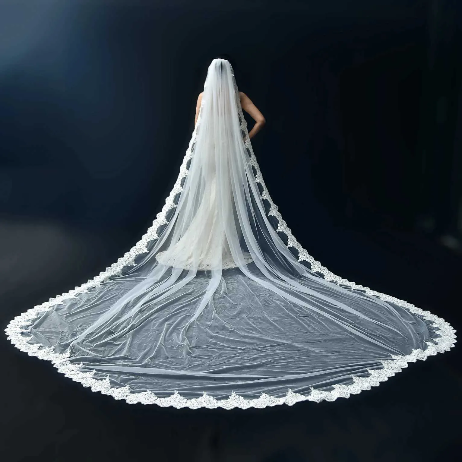 Hair Jewelry V152 Wide Veil Long Cathedral Bridal Veils 1 Tier 3M Lace Appliques Scalloped Edge Mantilla Tulle Wedding_voghion.com