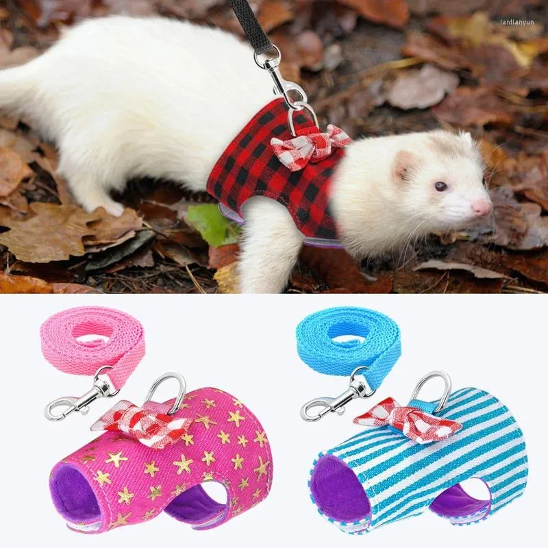 Colliers de chien 1pc Small Animal Harnness Vest Huisses Squirrel Guinée Pig Lashes for Outdoor Walking plomb corde Pites de compagnie