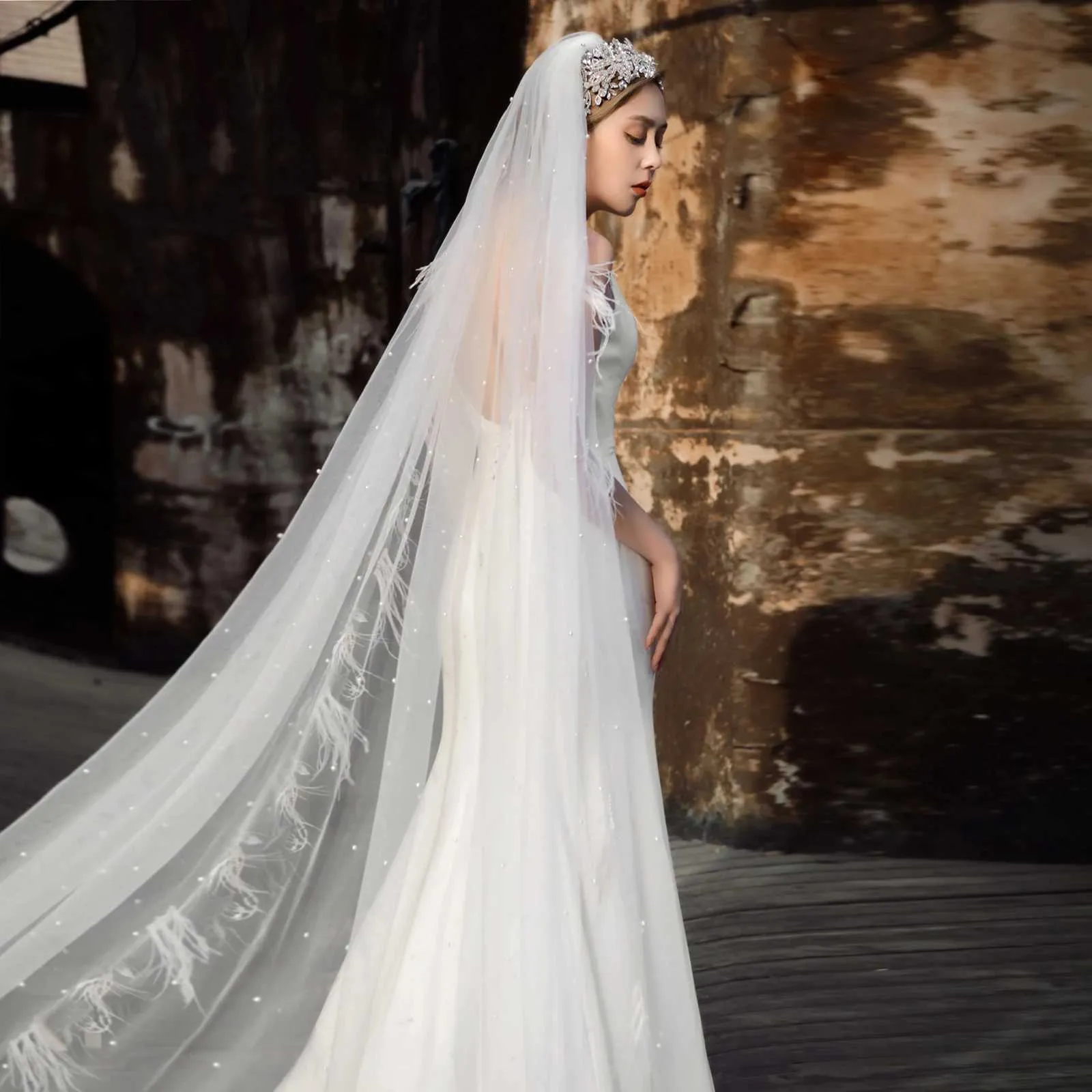 Bridal Veil Cathedral 1 Tier With Feather Beading For Wedding_voghion.com