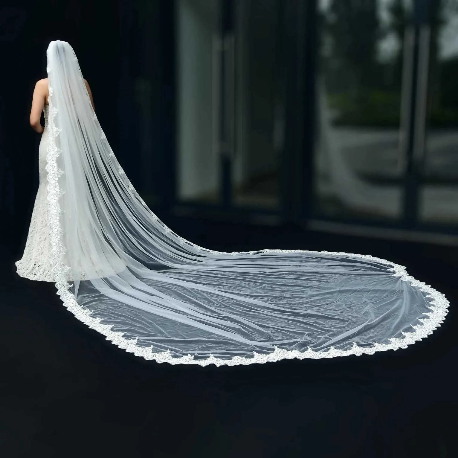 Hair Jewelry V152 Wide Veil Long Cathedral Bridal Veils 1 Tier 3M Lace Appliques Scalloped Edge Mantilla Tulle Wedding_voghion.com