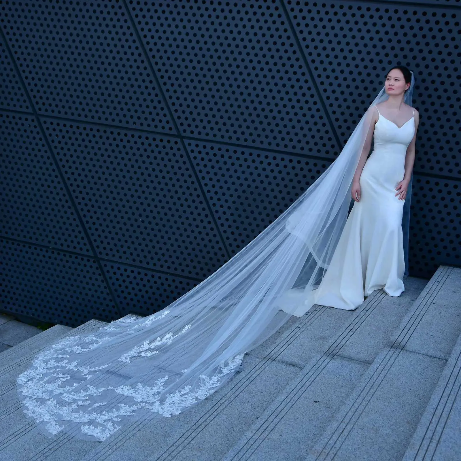 Hair Jewelry Wide Tree Vine Lace Patch Wedding Veil Long Cathedral Style Illusion 1 Tier with Comb Bridal Accessories_voghion.com