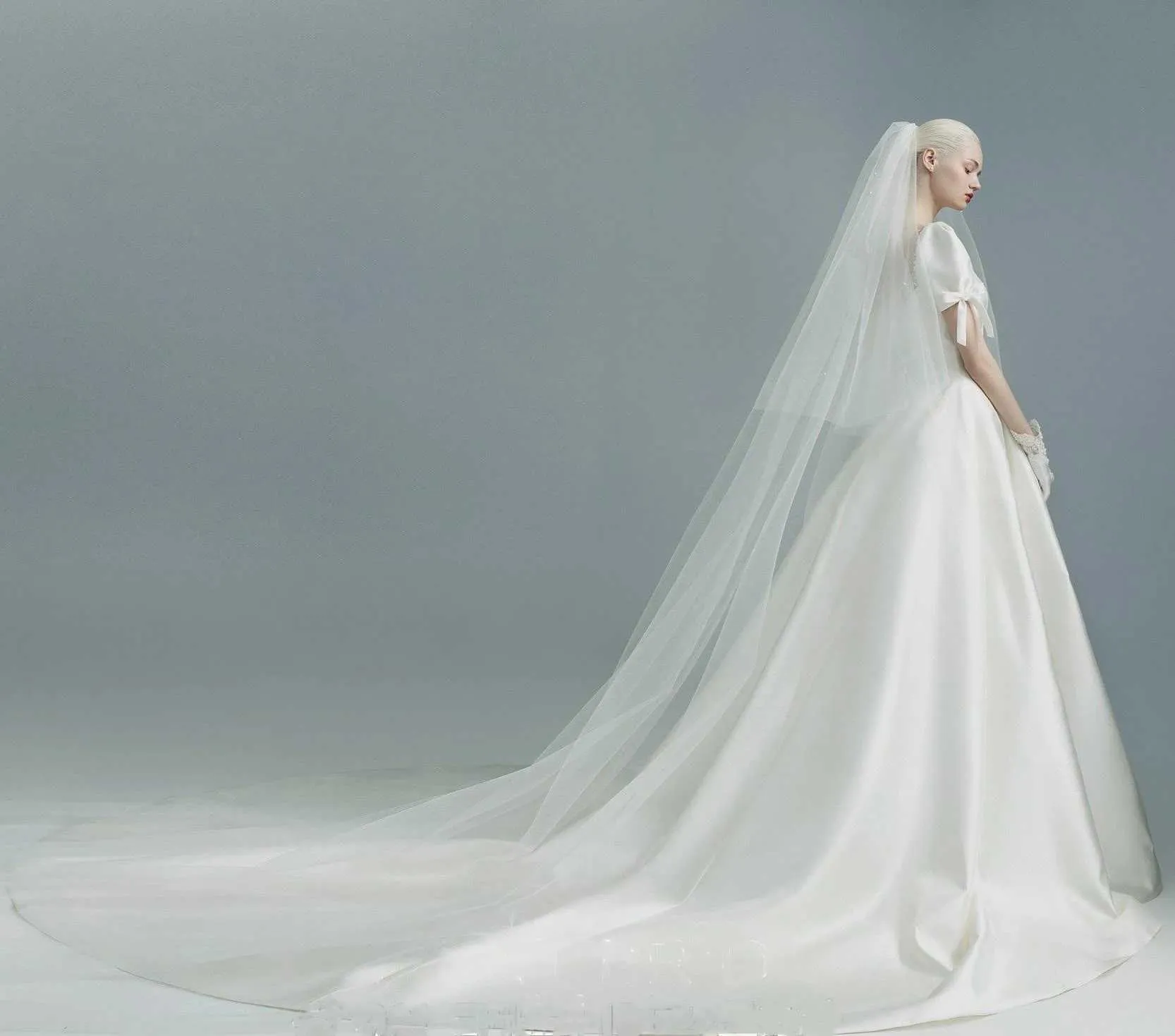 Bridal Veil 2 Tier Cathedral Wedding Veil With Blusher Face Drop_voghion.com