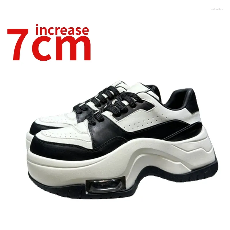 Casual Shoes Europe High End Butique Products Street dla kobiet Zwiększony 7 cm prawdziwa skóra zwiększająca buty białego taty