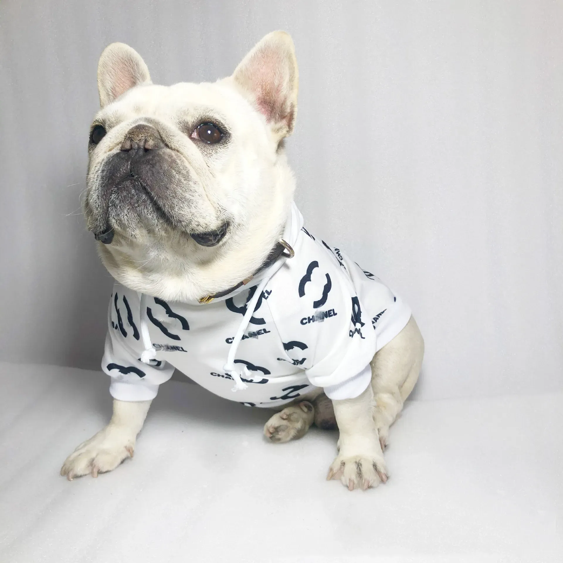 犬の黒と白のピュアコットンパーカーデザイナーレターロゴブランドペット服犬猫パーカー犬アパレル