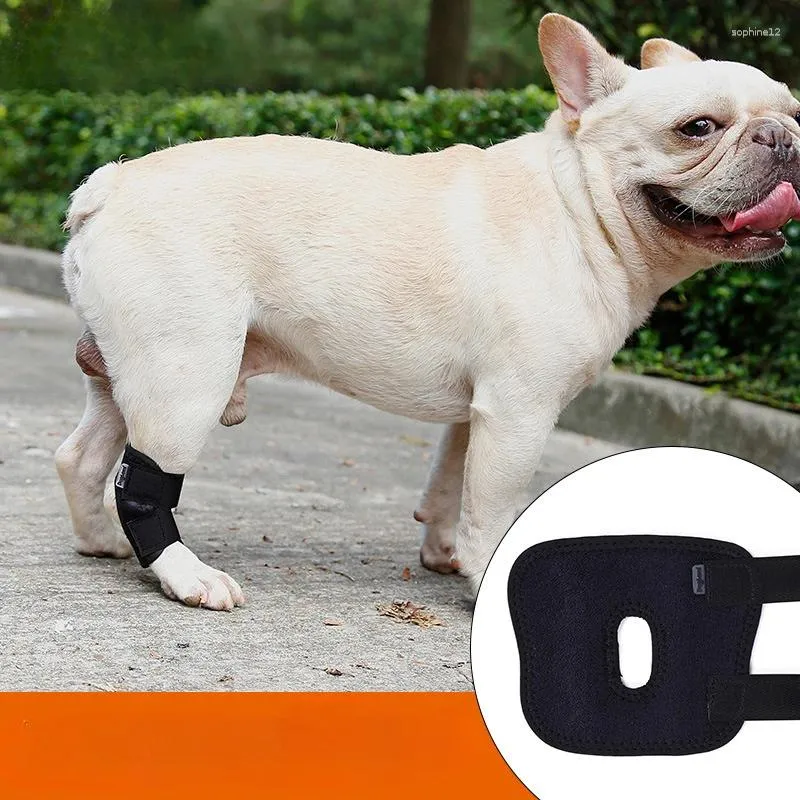 Dog Apparel Protege Artrite do Bandagem Protetor de Tampa Suporte de Perna Dogs Hock Recurso de joelheiras de joelheiras da chave de estimação Lesão Recuperação