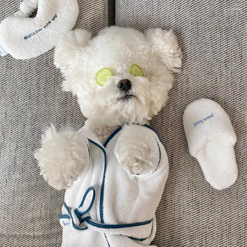 Hundkläder i Style Pet Bath Thandel Bathrobe Pography Props Pyjamas Kläder nallebjörn