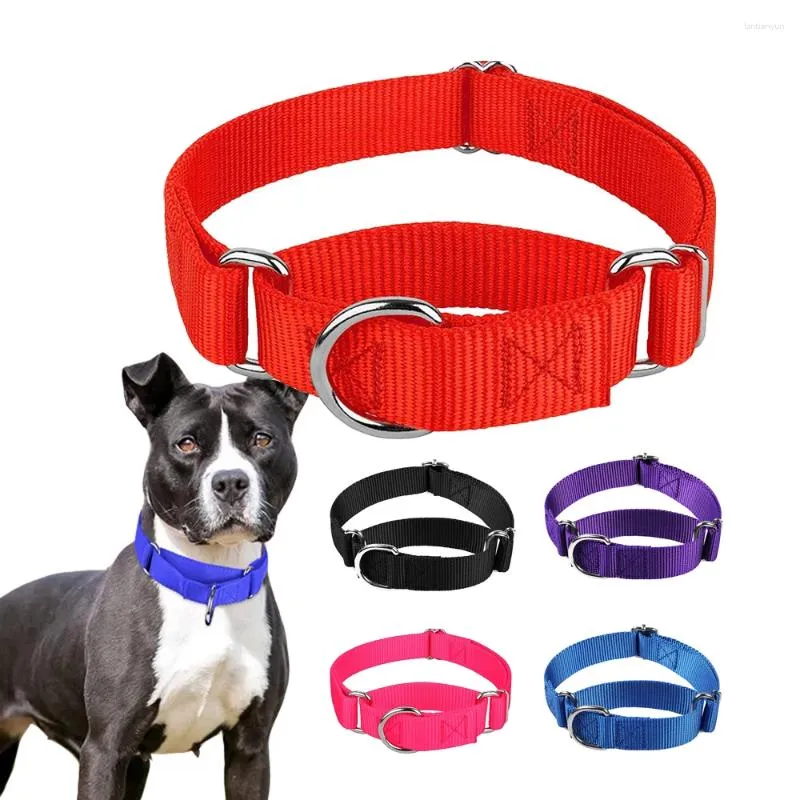 Hondenkragen martingale zware nylon kraag verstelbare zachte comfortabele puppy huisdier voor kleine grote honden veiligheidstrainingscontrole