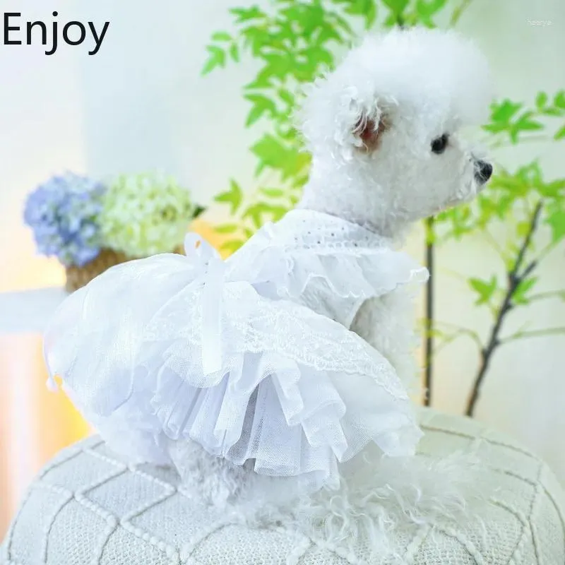 Vêtements pour chien vêtements d'été chat princesse robe blanche en dentelle de gaz de gauze fête du peluche