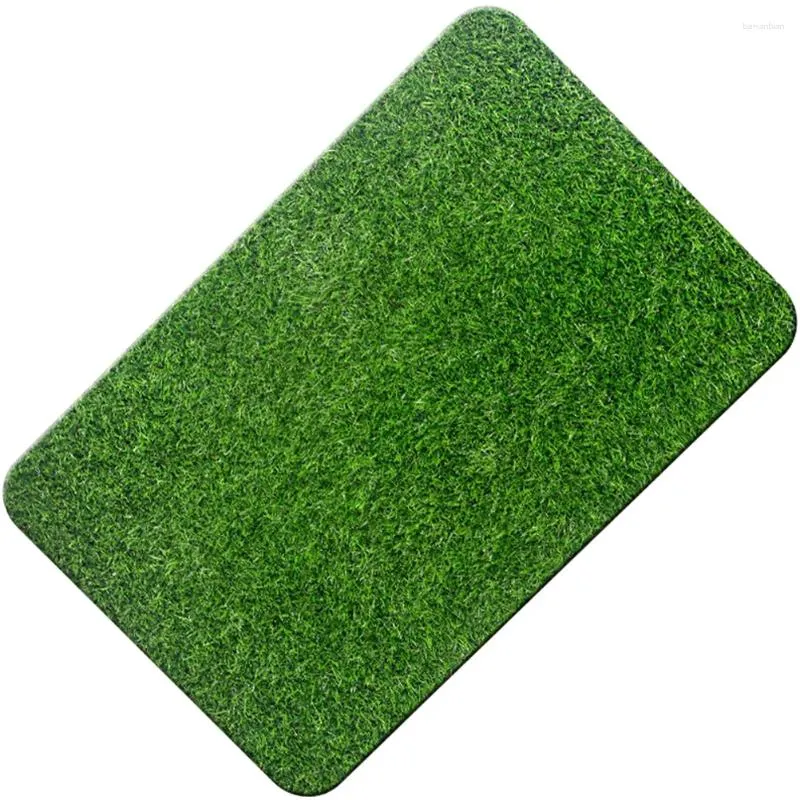 Carpets Fake Grass Front Door Mat Entrance Floor Outdoor Waterproof Rug Carpet Welcome Rubber Artificial Turf Green Wet