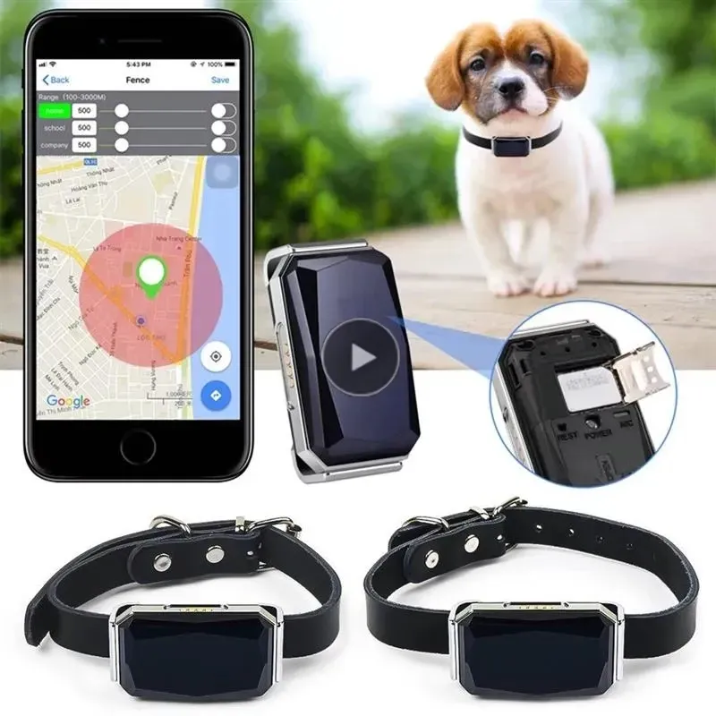 Multifunctioneel PET SMART GPS Tracker Mini Anti-Lost Collar Waterproof Locator Tracer-apparaat voor hondenkattendieren Accessoires