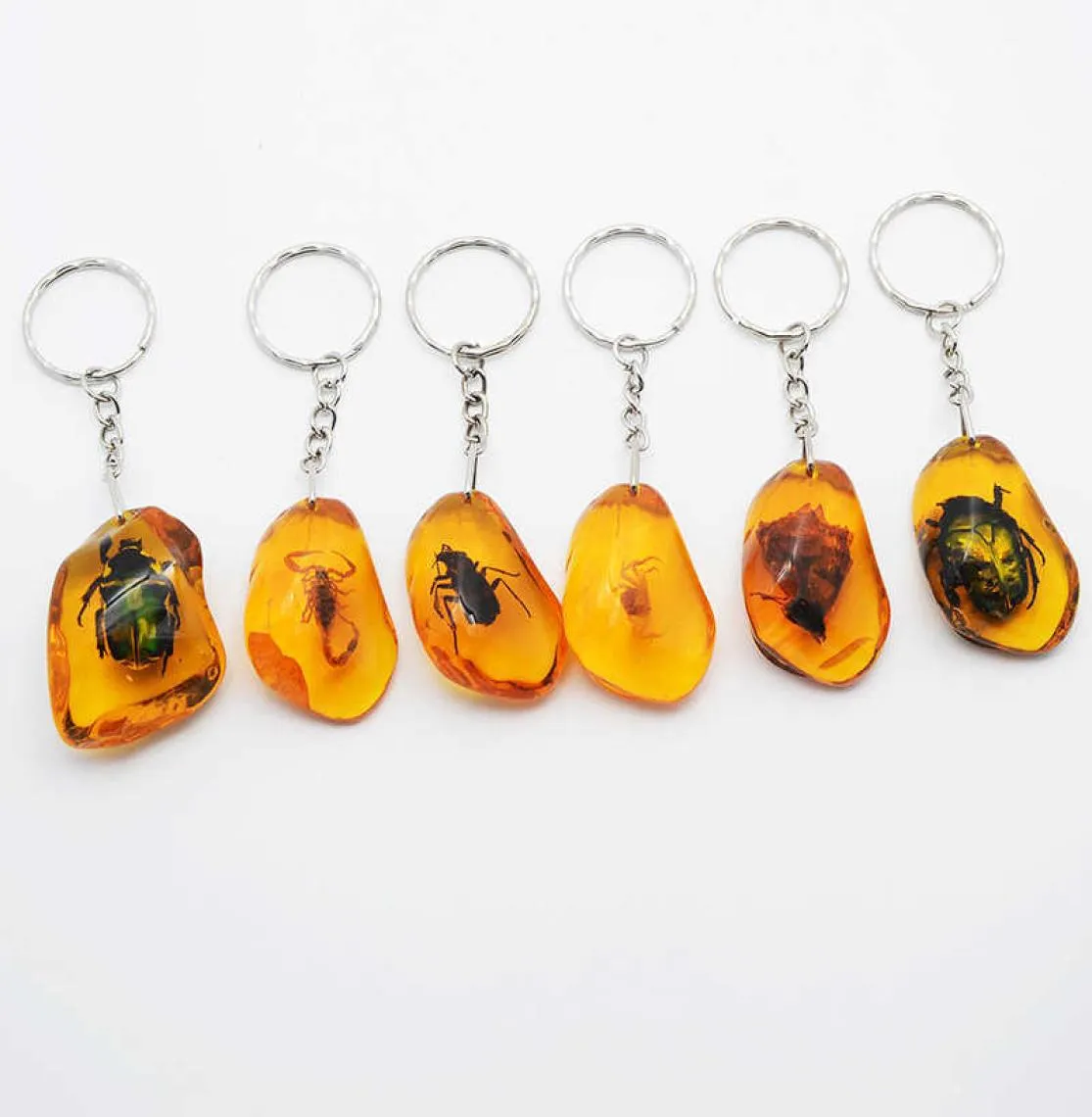 6pcsSet Real Scorpion Key Chain New Luminous Product Real Crab and Scorpion Keychain bag Car key Ring G10197307721
