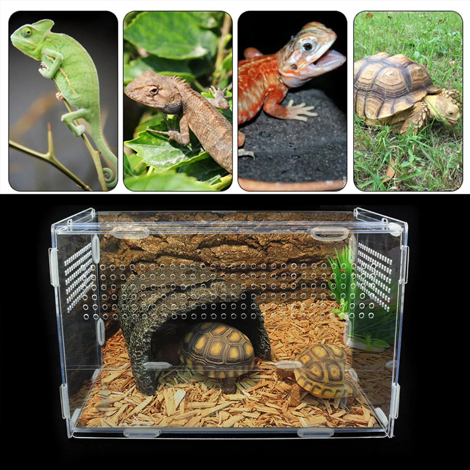 Reptil avelsbox Akrylterrarium matningsbox transparent för djur Reptil Pets Insect Spider Lizard Frog Cricket Turtle 240506