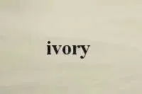 Haarschmuck Heißer Verkauf Mode Stil 2T 2 Tier Ribbon Edge Center Perlen Braut Hochzeit Braut Schleier_voghion.com