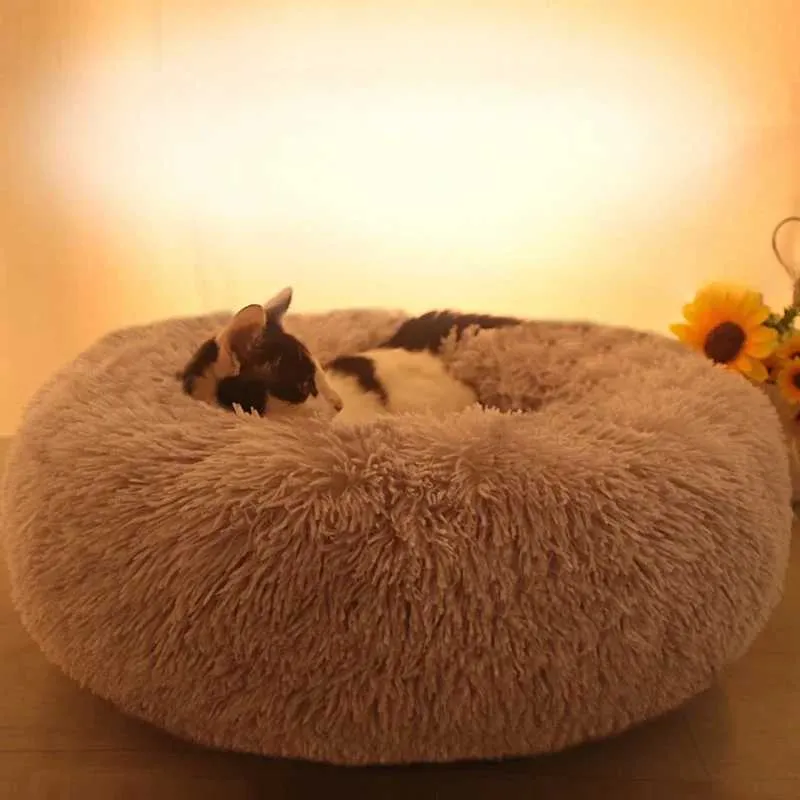 Lits de chats meubles super doux chien lavable et lits de chat de chat canapé d'hiver chaud beigon confortable