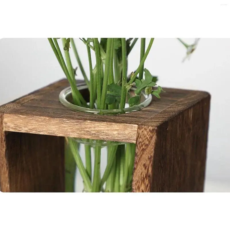 Vastes en verre hydroponique vase contenant du terrarium Terrarium Flower Pot Stand