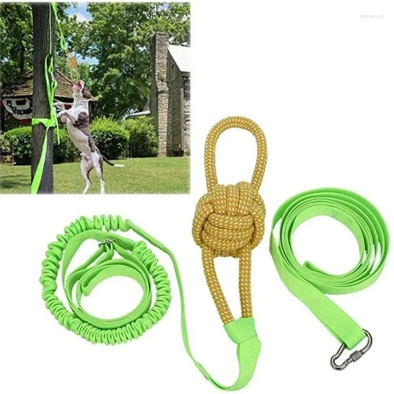 Dog Collars Chews Interactive Rope Chew Toy Elastic Bungee Pet Supplies Jouet Chiot Cepillo Dientes Perro Jeu Chien Products For