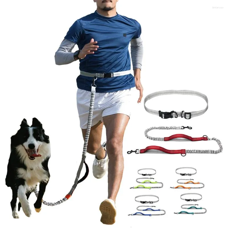 Dog Running Leash With Bungee, Double Leash For Dogs Hands Free