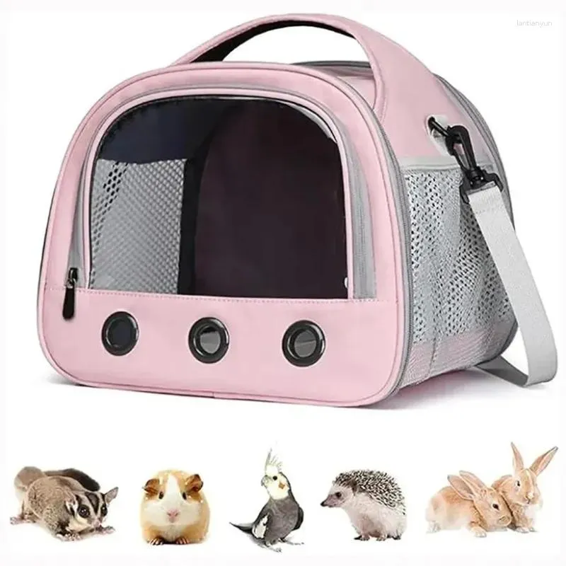Small animal carry cage online