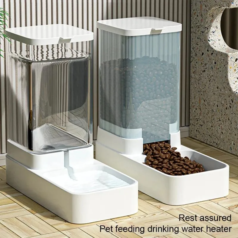 7 day cat feeder shop