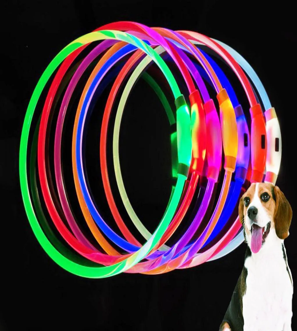 LED قابلة لإعادة الشحن USB مضيئة من طوق الحيوانات الأليفة المضادة لخسارة الكلاب الحبل إمدادات الكلاب 3277153