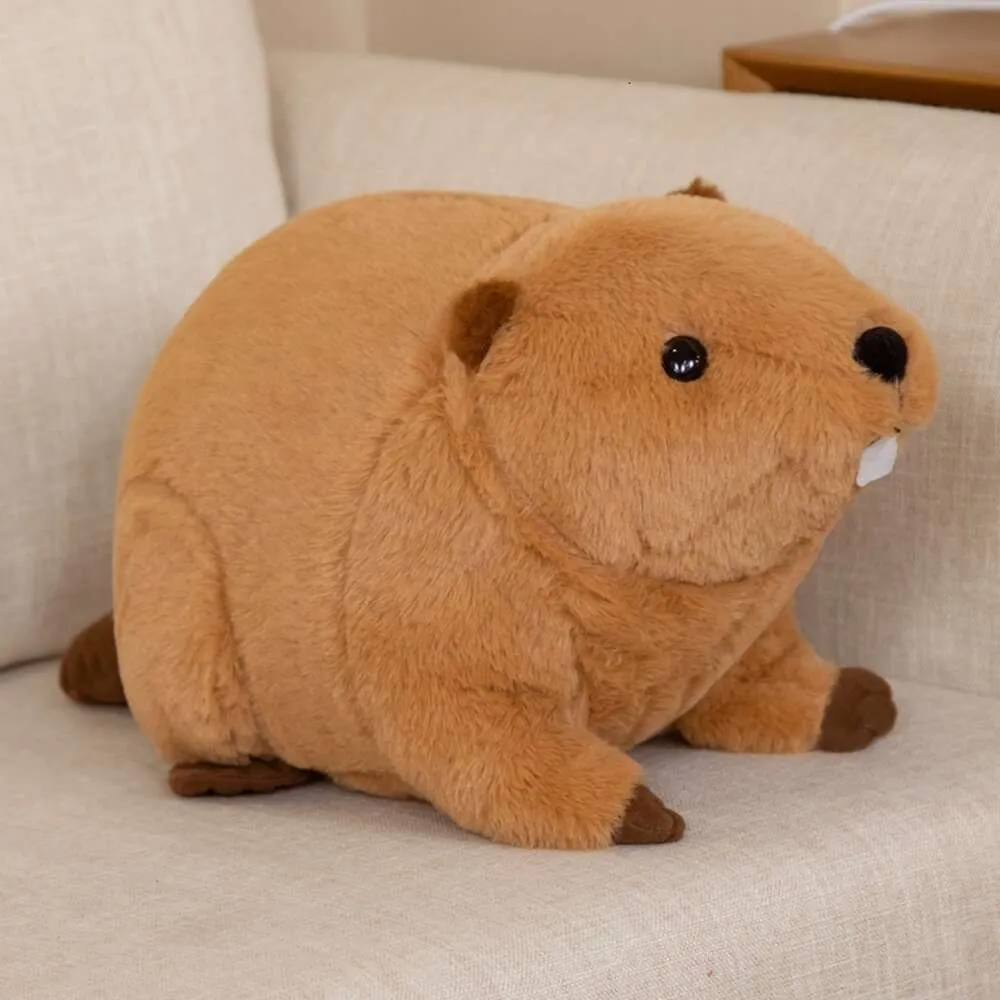 Kawaii Beaver Plush Pillow 45cm 60cm Cute Nutria Peluche Toy Simulation Animal Doll Soft Capybara Stuffed Animal Gift For Birthdays From Us massachusetts 9.26 DHgate.Com