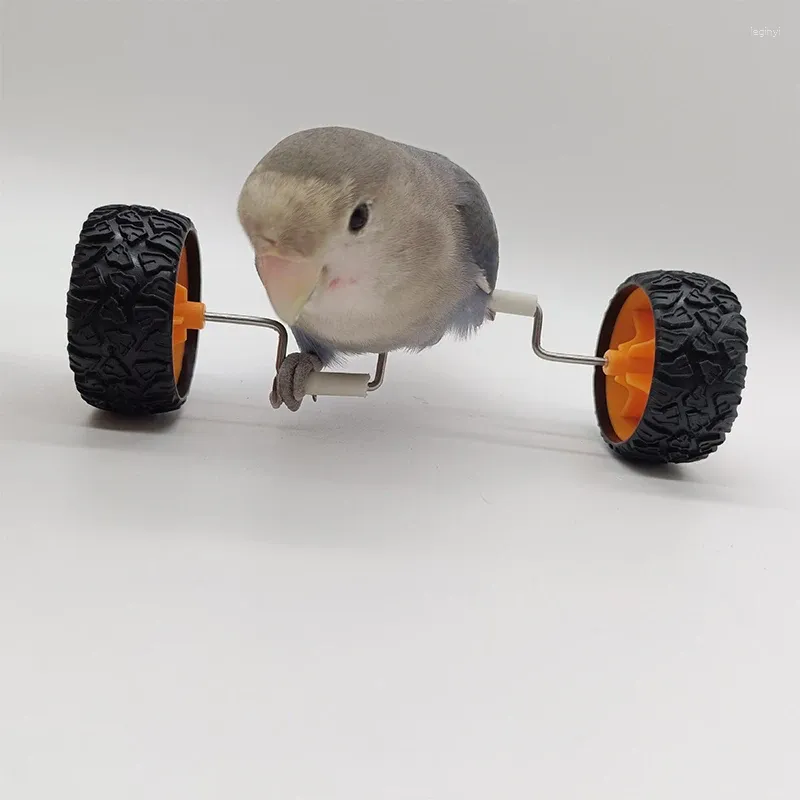 Autres fournitures d'oiseau créatives pour animaux de compagnie Balance Balance Cartes de voiture Petites