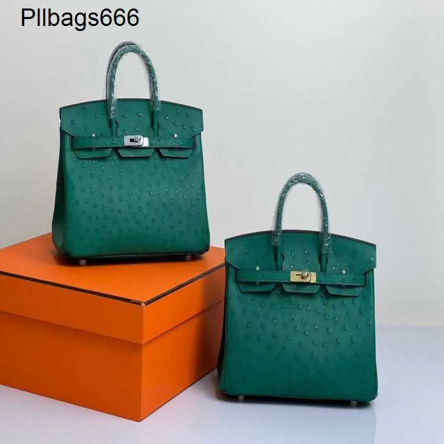 Birkin 25 detail view