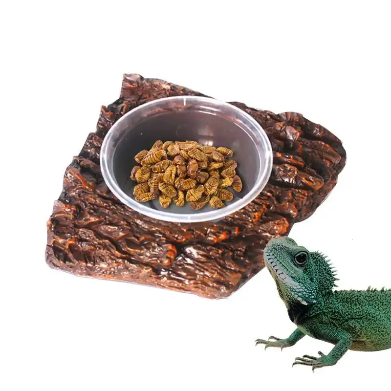 Reptile Water Bowl ABS Resin Feeding Dish for Anole Chameleon Bearded Dragon Food Worm Terrarium Bowl Safe Durable