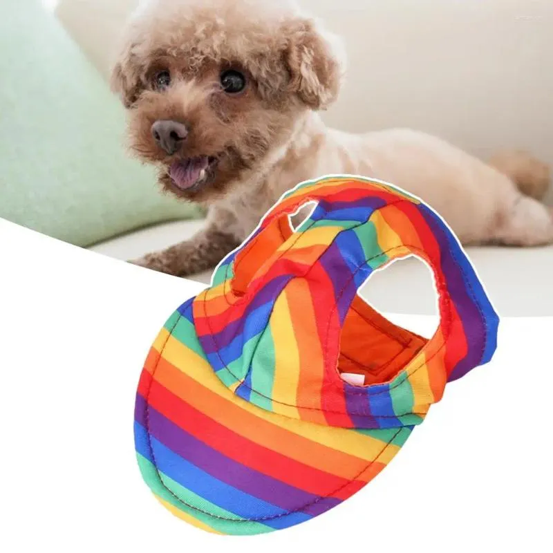Visor dog 2025
