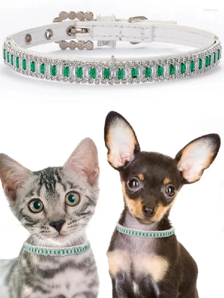 DHgate Jewel Leather Collar for Small Pets Maljas Puppy Necklace for Yorkshire Terriers Cats Kittens and Other Dog Breeds Pet Supplies