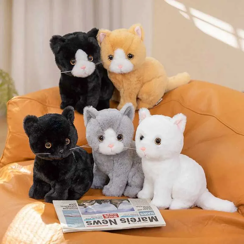 Cat boy teddy top