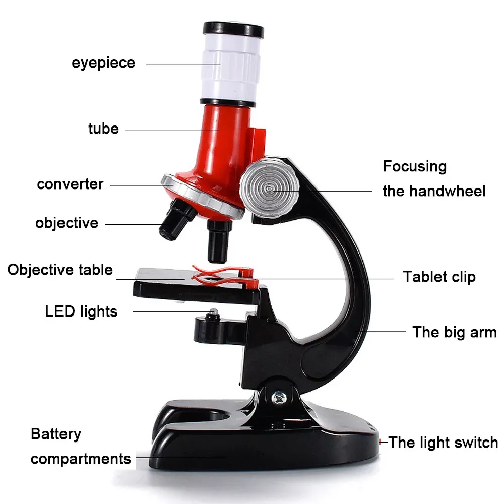 Biology Experiments To Try From Your Orlando Private School, image size:1000x1000