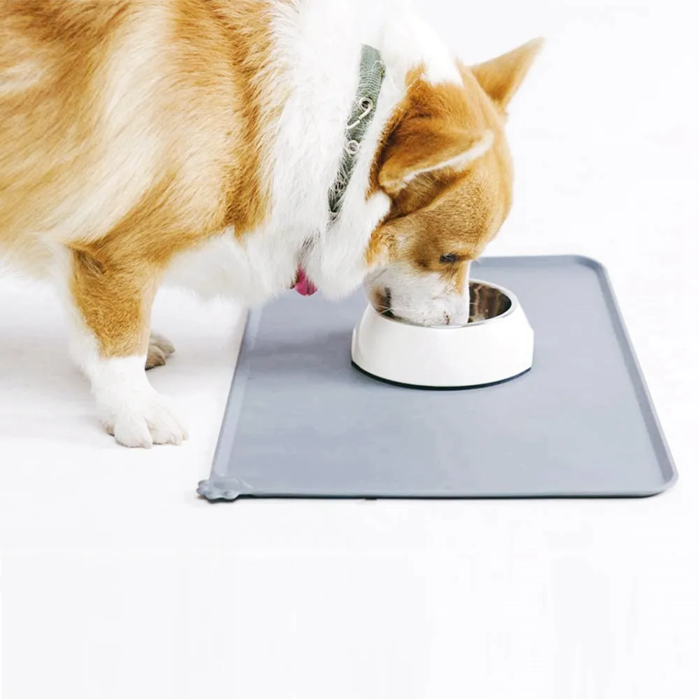 Cat food mat with lip online