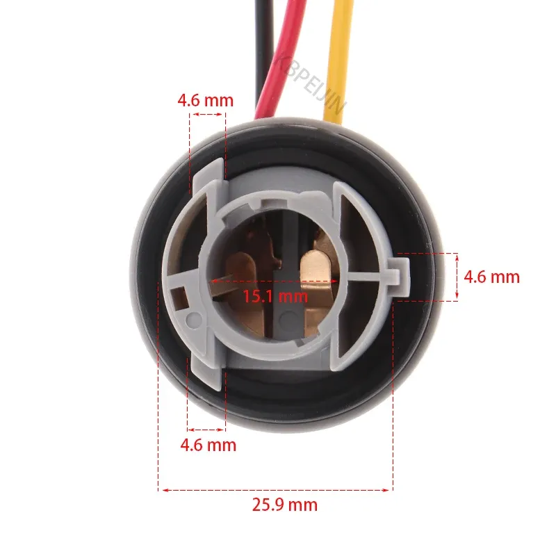 Globe socket 2025