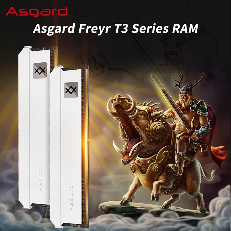Asgard Ddr4 16gbx2 Asgard 3600 Mhz Ram Ddr4 Asgard DDR4 RAM 16GB