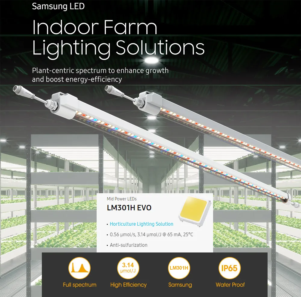 Samsung led tube light new arrivals