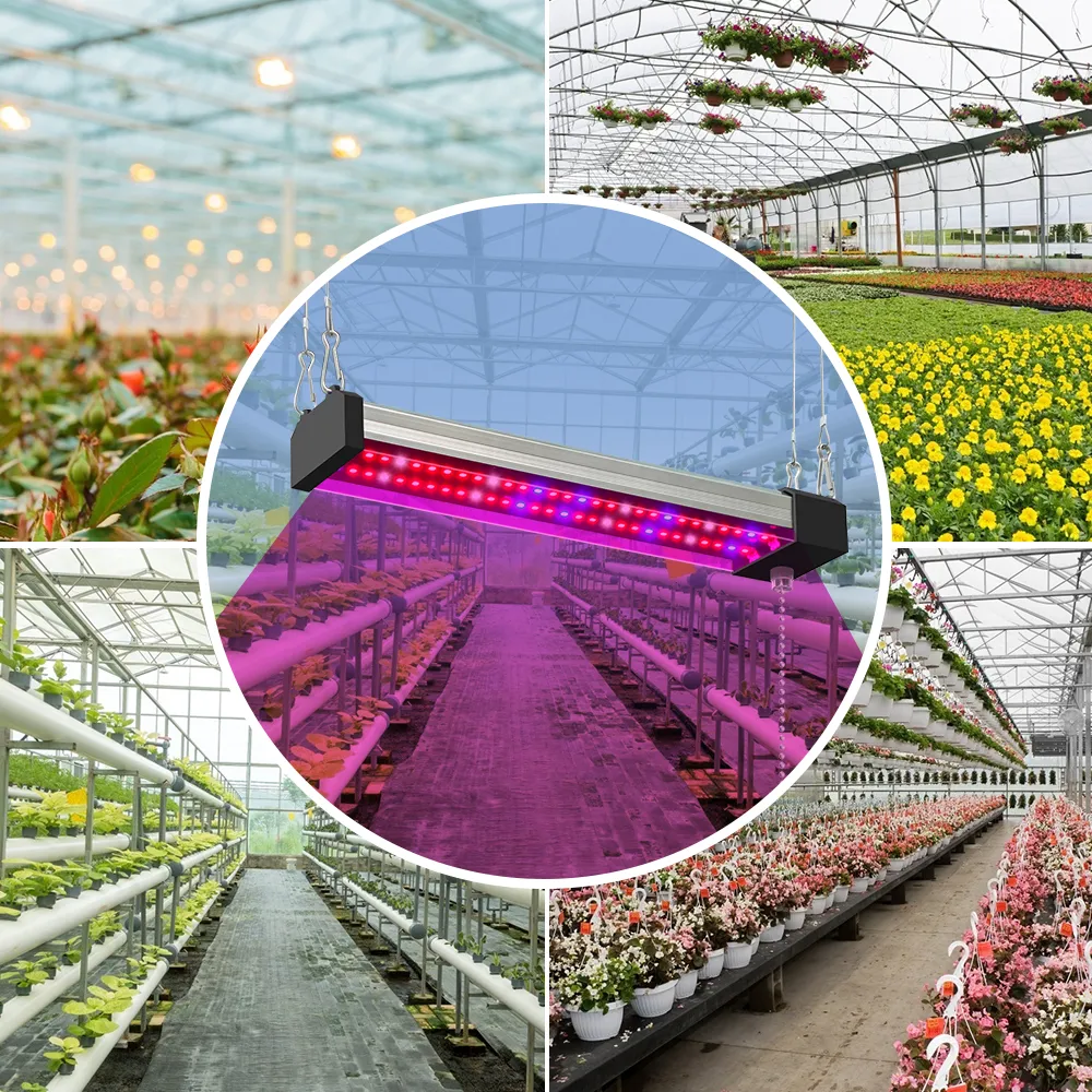 DHgate Full Spectrum LED Grow Light for Hydroponic Indoor Plants Greenhouse Growing Lights Lighting