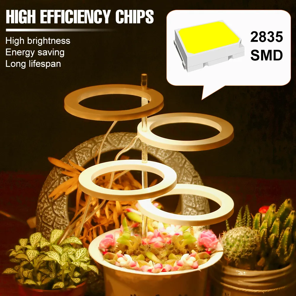 LED Full Spectrum Plant Grow Light USB 5V Hydroponics Phyto Lamp with 1 ...