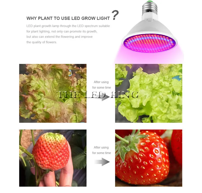 E27 Full Spectrum 220V LED Plant Grow Light Bulb with 48 to 80 LEDs for ...