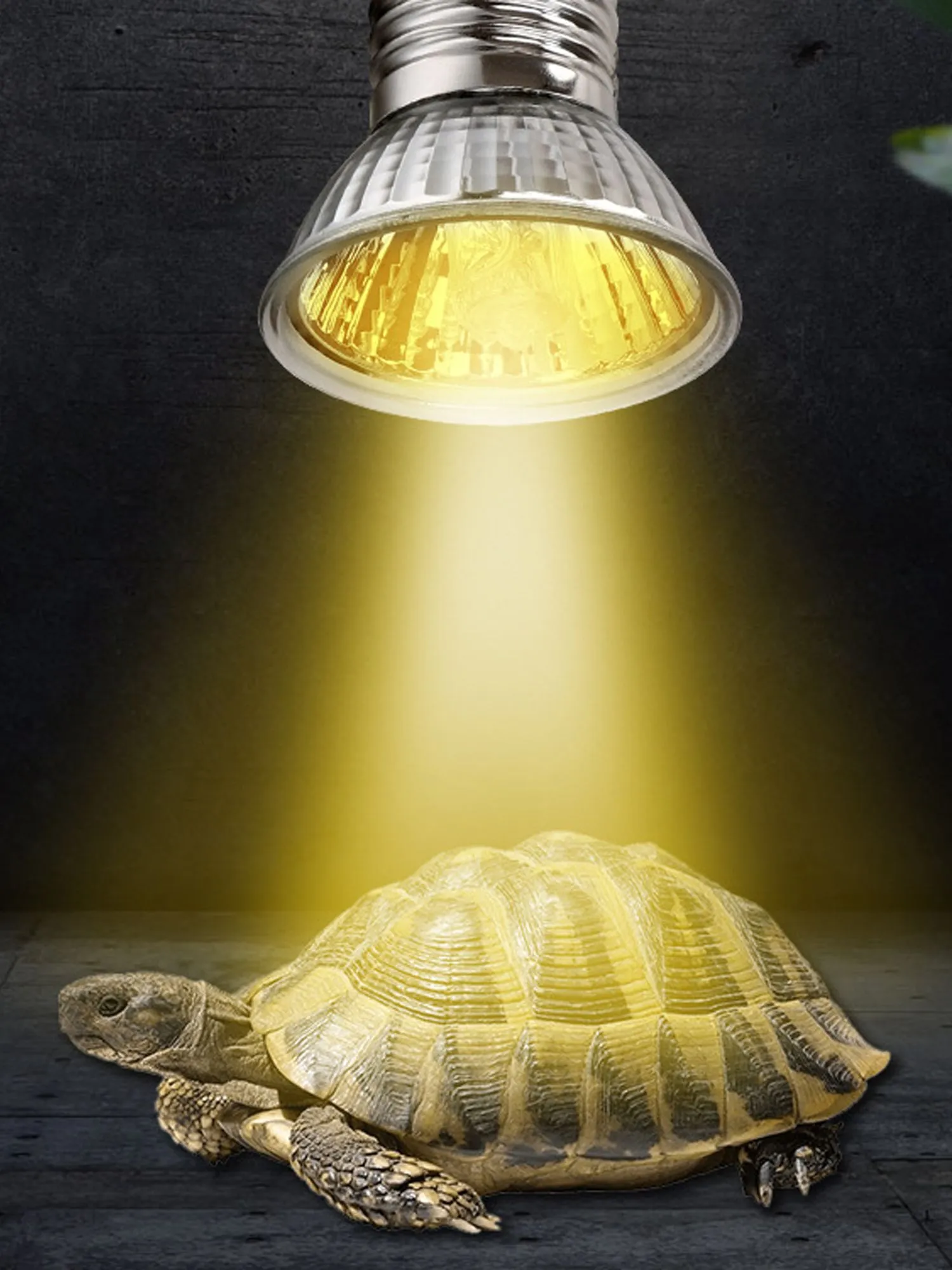 Heat Light For Lizards: Reptile Heat Lamp Bulb For Basking, UVA UVB ...